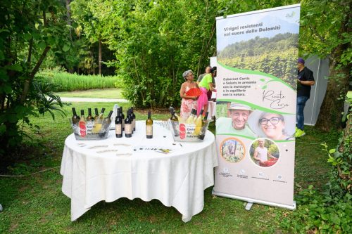 BNI-Festa-Region-2025-113