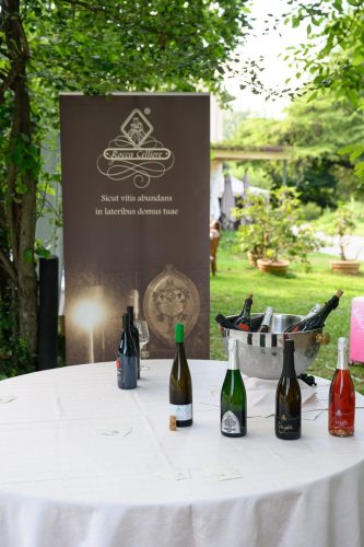 BNI-Festa-Region-2025-18