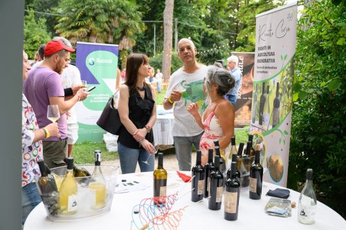 BNI-Festa-Region-2025-229