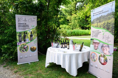 BNI-Festa-Region-2025-56