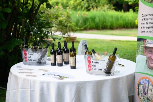 BNI-Festa-Region-2025-57