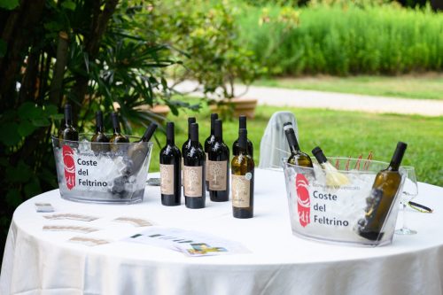 BNI-Festa-Region-2025-58