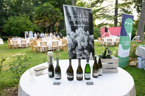 BNI-Festa-Region-2025-77